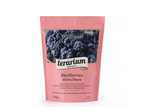 Mure congelate - Terarium